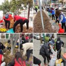 논현2동-2 이미지