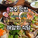 바다식당경주 | 경주 바다가 보이는 물회 맛집 "해암회 식당" 내돈내산 후기&정보