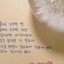 강성은꽃 이미지