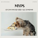 진주애견카페 엠와이피에스, 진주강아지케이크 주문한 후기!
