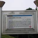 최용소선생묘 Daum카페
