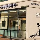 소망 동물병원 이미지