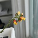 일영무두리캠핑장 | 양주캠핑장 일영무두리캠핑장 일영계곡 풀타프존 캠핑장