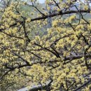 달전시목지 이미지