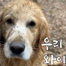 송도추어탕 이미지