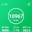 어울리다 이미지