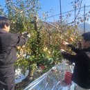 연풍면사무소 이미지