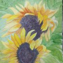 깜헤어샵 이미지