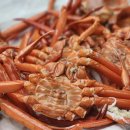 윌횟집 | 강릉홍게무한리필 윌횟집 후기 반려견동반 경포해변맛집 강문해변맛집