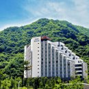 트래블아시아 Travel Asia 이미지