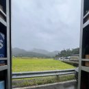 빨간장터 이미지