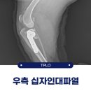 자인동물병원 이미지