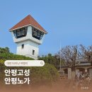 안평 | 안평고성 안평고보 입장료 안평노가 가는법 바쁘면 패스 추천 솔직후기