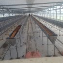 경영2농장 이미지