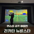 뉴비치골프연습장 | 골프 아이언 추천, 연습용 리카타 뉴비스타 스틸 7번 아이언 후기