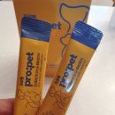 프로펫 | 프로펫🐾 반려동물 하루 한 번 건강 루틴 — 프로펫 올인원 영양제 후기 💛