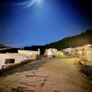 둔내캠프 | [횡성 둔내] 반려견과 함께 이용 가능한 캠핑장 "보리 캠핑장" 솔직 이용 후기~