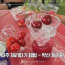[내돈내산] 파주 아이와 가볼만한곳 - 약산체리원 체리따기 체험 당일예약 후기