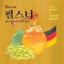 트레비어 이미지