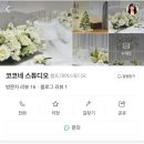 코코네 스튜디오
