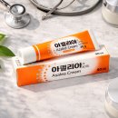 아젤리아 이미지