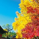 기와터(근린공원) 이미지