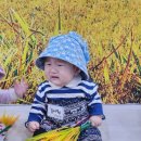 어놀문화센터 | 8개월아기 첫 문화센터 제주 어놀문화센터