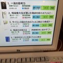 화미뷰티 | [루리의 일본생활] 도쿄 컨설턴트 뷰티데이: 시모키타자와 토리파이탄 라멘 맛집 (ソルト）ㅣ 区立...