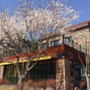 안동호텔 이미지