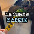 규태농장 | 김포 몬스터리움 - 희귀동물 아쿠아리움 실내동물원 연중무휴
