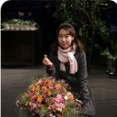 꽃장식 플로리스트 이미지