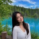 자연투어 | 비에이 후라노 1일 버스투어 흰그림자투어 완벽 후기! 자연 속 힐링 여행 추천