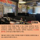 디노마드 이미지
