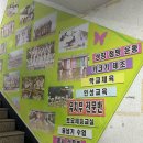 한라무예태권스쿨 | 대구 학정동 한라무예태권스쿨