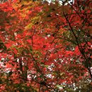 갈현3리 이미지