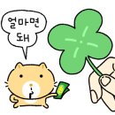 미플란트치과 이미지