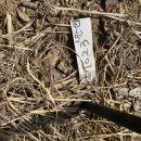 만산농장 이미지