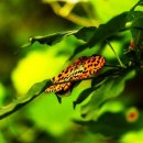 대전둘레산길(2구간) | 대전둘레산길2구간-만인산길