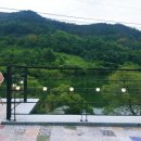 로코코블랑 이미지