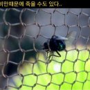 웰헬스 이미지
