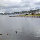 미국 시애틀의 유니언 호수(Lake Union) 이미지