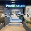 더원지스윙스크린골프
