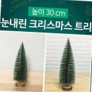 신광장식 이미지