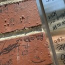 냉천2(안쪽) | [내돈내산] 단양에서 유명한 냉천막국수, 시원한 막국수와 탕수육 솔직 후기