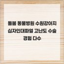 뿌리동물병원 치과센터 | 돌봄 동물병원 수원강아지십자인대파열 고난도 수술 경험 다수