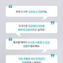 에끌라두 이미지
