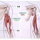 져스트짐 이미지