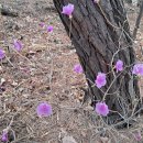 고정리마을회관 | 화성 함경산, 와룡산, 승학산, 이봉산