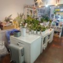 에이플러스공인중개사사무소 이미지