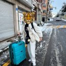 지팡팡